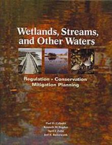 Wetlands, Streams, and Other Waters
